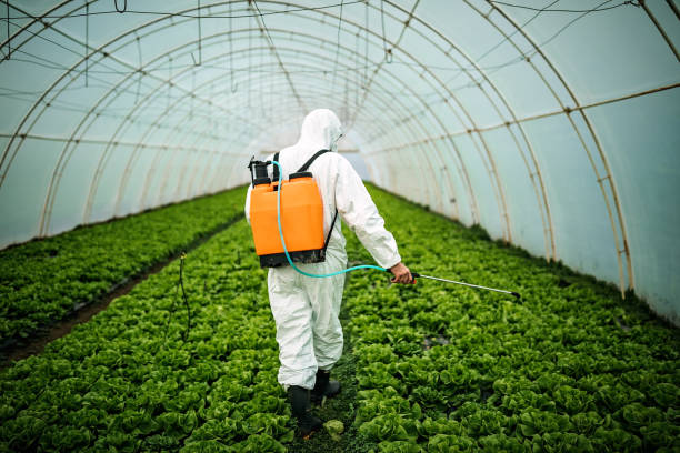 Best Affordable Pest Control Services  in Leavenworth, KS