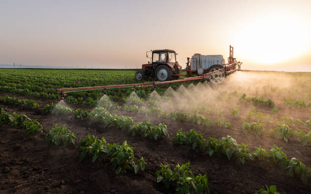 Best Pest Control Treatment  in Leavenworth, KS