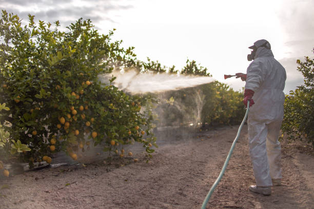 Trusted Leavenworth, KS Pest Control Experts