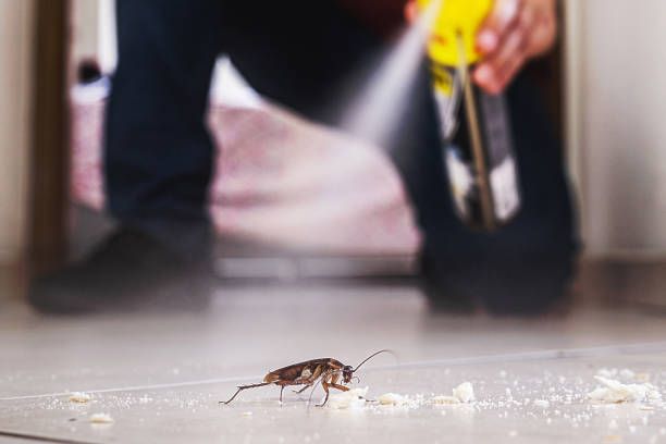 Best Bed Bug Extermination  in Leavenworth, KS