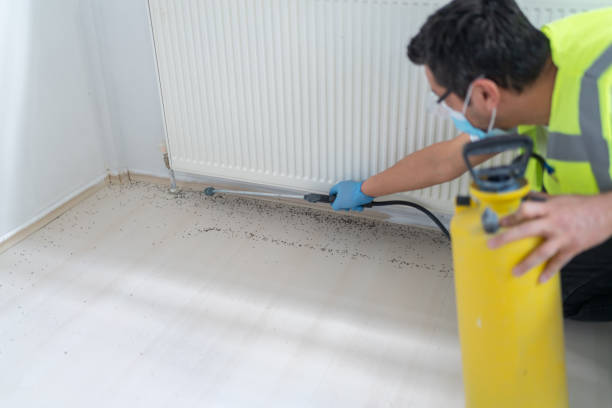 Best Affordable Pest Control Services  in Leavenworth, KS